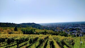 Die beste Fachkraft für Arbeitssicherheit (FaSi) in Hessen