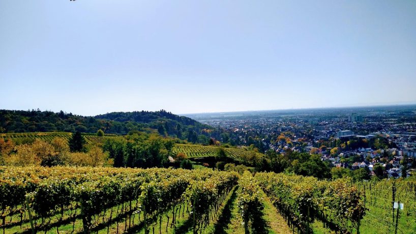 Die beste Fachkraft für Arbeitssicherheit (FaSi) in Hessen